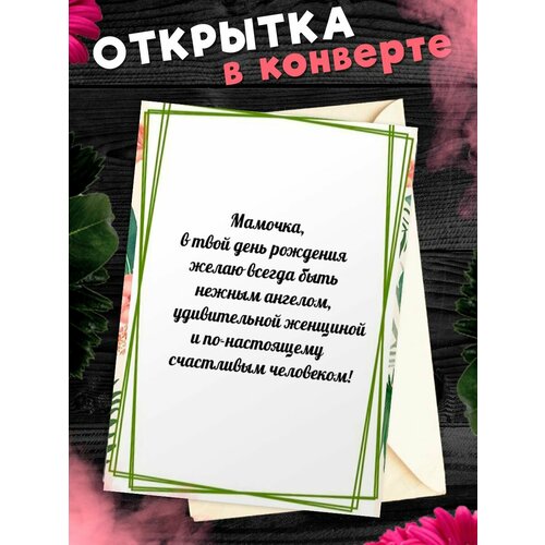 ������ ������ �������� �6 � �������� � ���� ��������, ����! ����