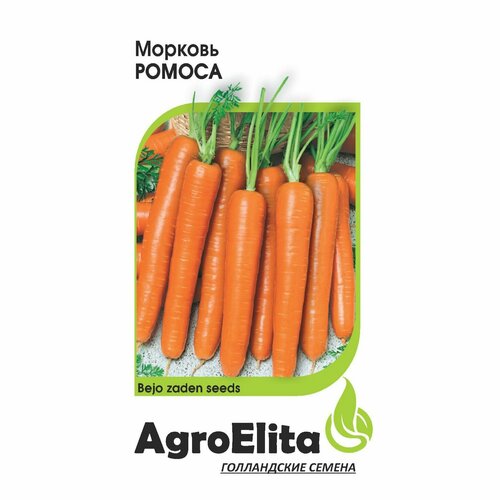 ������ ������ ������ ������� ������ 0,5 � ���� (���������) ��������� ����