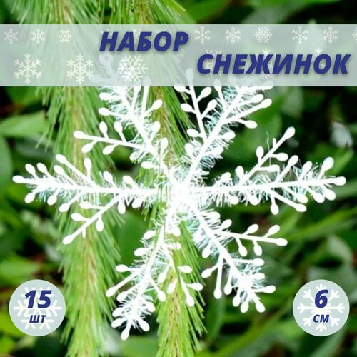 ������ ������ �������� ��� ������, ���������� ���������, ��� ������ ����, ����� 15 �� ����