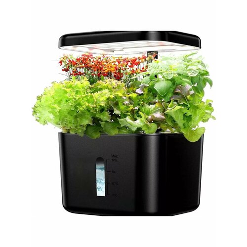 ������ ������ ����� ��� Oliz, ��� �����������, � ����������, 4 ������, 1,2 � ����