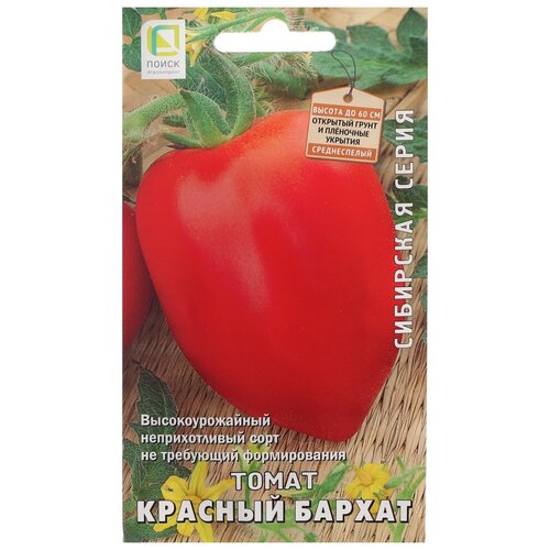 ������ ������ ������ ����� ��������� ����� ����� ������� ������, 15 ��. ����