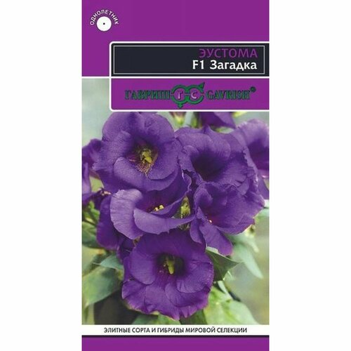 ������ ������ ������ ������� ������� (�������) F1, ����������, (������) 5�� ������. ��������, ��������� ����