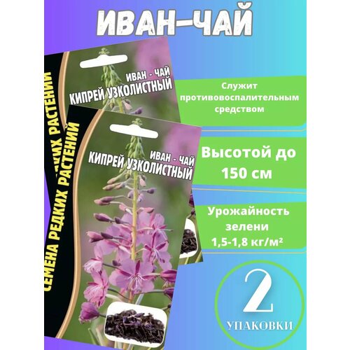 ������ ������ ������ ����-��� ������ ����������� 2 �� ����