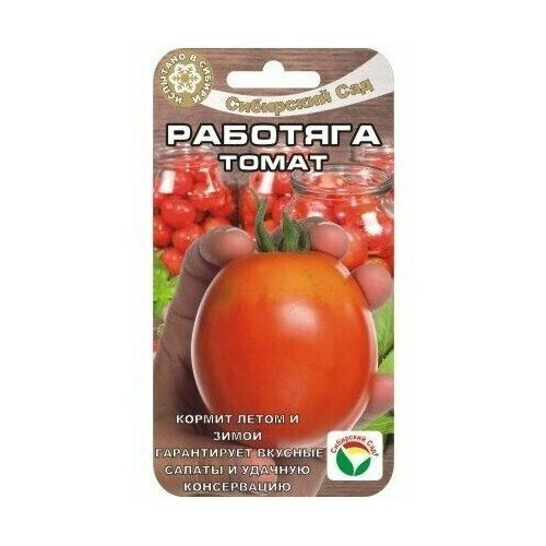 ������ ������ ������ ������ 