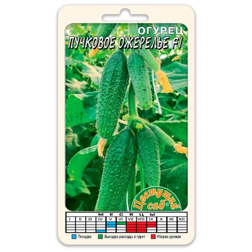 ������ ������ ������ �������� �������� F1 (������ �������� ��� 0,3 �) ����