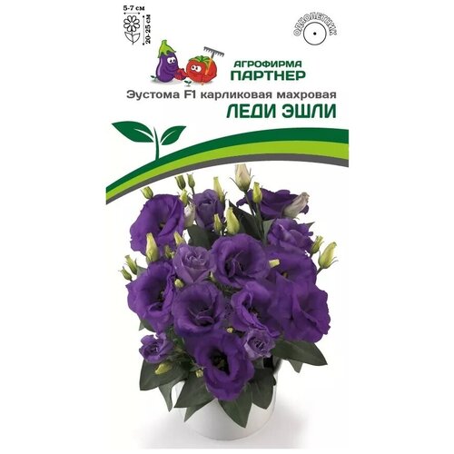 ������ ������ ������ ������� ���������� �������� ���� ���� F1 /��������� �������/ 1 ��������, 5 ����� ����