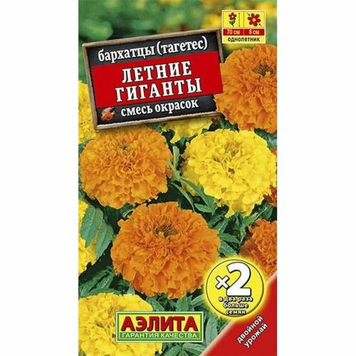 ������ ������ ������ �������� ������ �������, ����� ����������, �2 (������) 1� ����