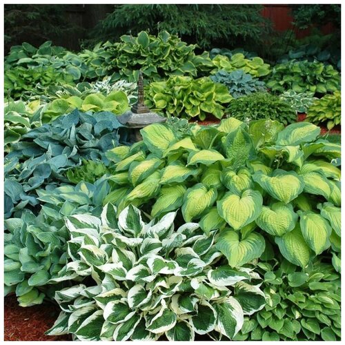 ������ ������ ������ ������ ����� ���� 4 ��������� 15 ��. ����