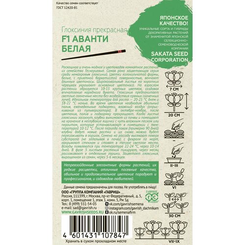 ������ ������ ������ ��������� ������ ����� F1 ������ ������� 5 �� ����