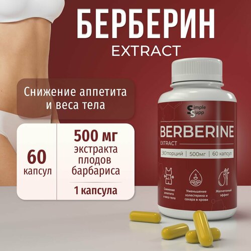 ������ ������ �������� 500 ��, 60 ���, �������� ������ ��������� ����