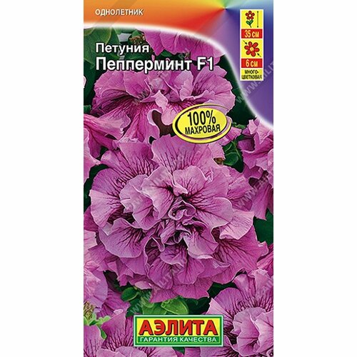 ������ ������ ������ ������� ���������� F1 ����, ����������, (������) 5�� ����