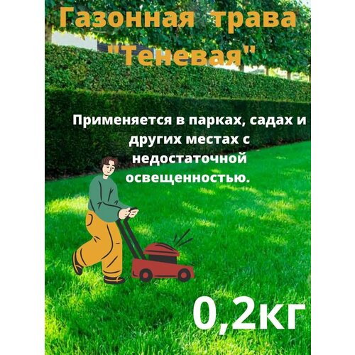 ������ ������ �������� ����� 