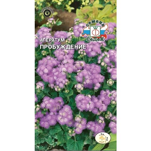 ������ ������ ������� �������� 