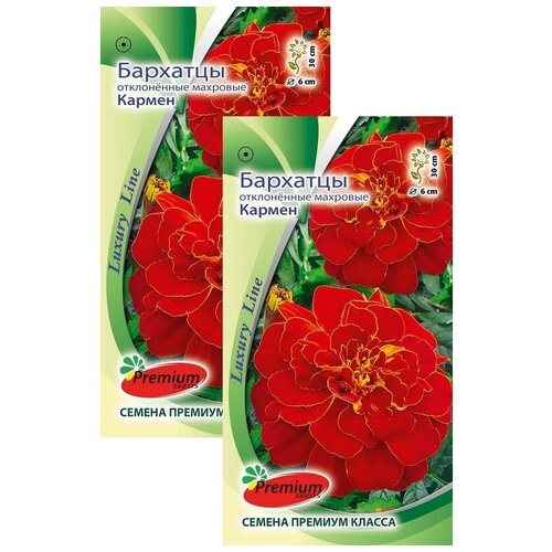 ������ ������ �������� ����������� �������� ������ (0,3 �), 2 ������ ����