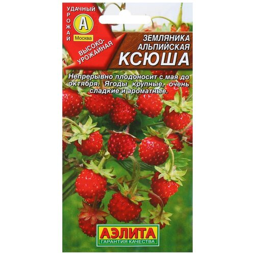 ������ ������ ������ ��������� 