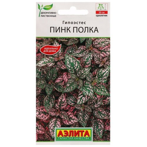 ������ ������ ������ ������ ��������� 