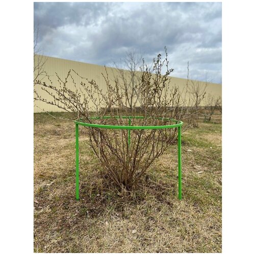 ������ ������ �������������� ��� ��������� � ���������� (�������) ����