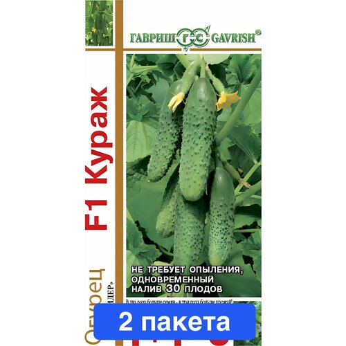 ������ ������ ������ ������ ������ 