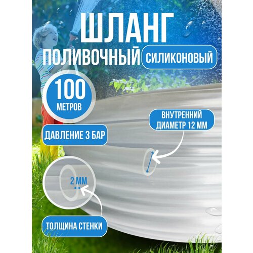 ������ ������ ����� ������� ���������� ����������� 12 �� 100 ������ ����