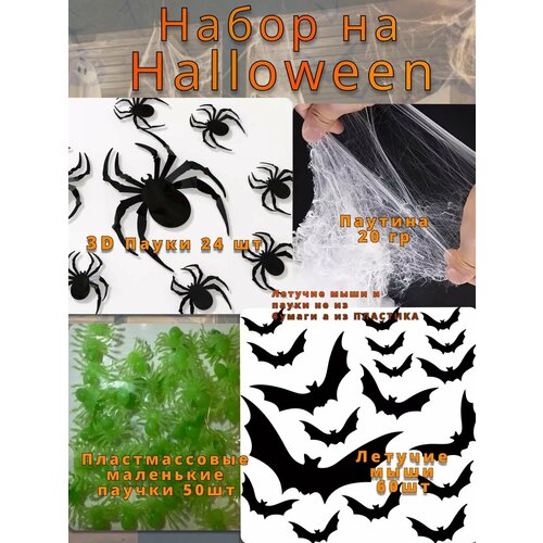 ������ ������ ����� �� �������� ����