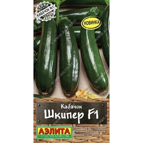 ������ ������ ������ ������� ������ F1 ������� 5�� ������ (������) ����