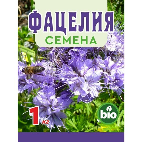 ������ ������ ������� ������ �������� �������� ����� ������ ������ 1 ��. ����