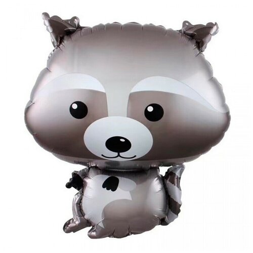 ������ ������ ��������� ��� ������ ����, 66 ��. ����