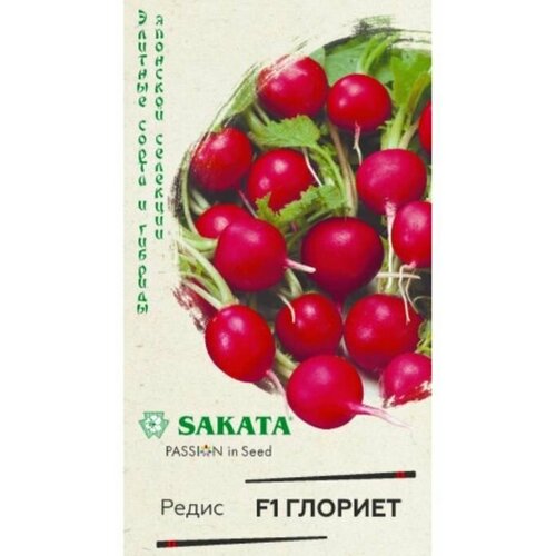 ������ ������ ������. ����� 