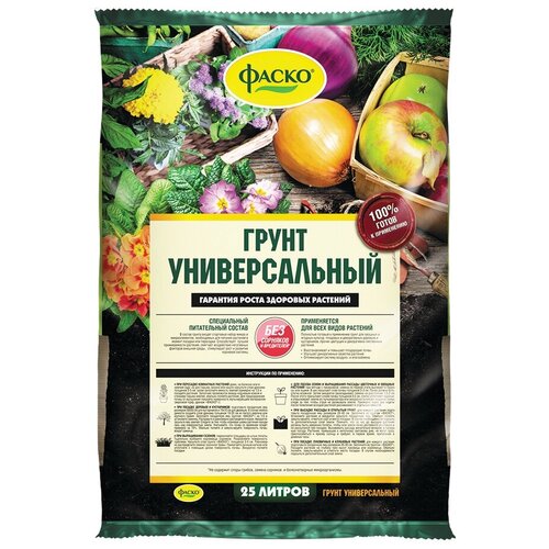 ������ ������ ����� ����� ������������� ����������, 25 �, 12 �� ����