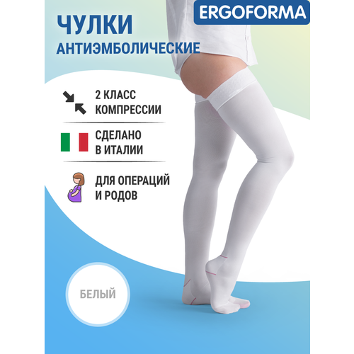 ������ ������ ����� �������������� Ergoforma 2 ����� ����������, ������ 1, ����� ����