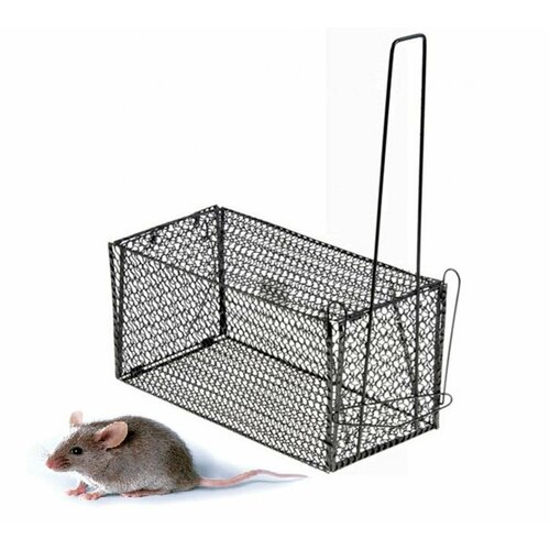 ������ ������ ���������� ������������� �������� ����� ����