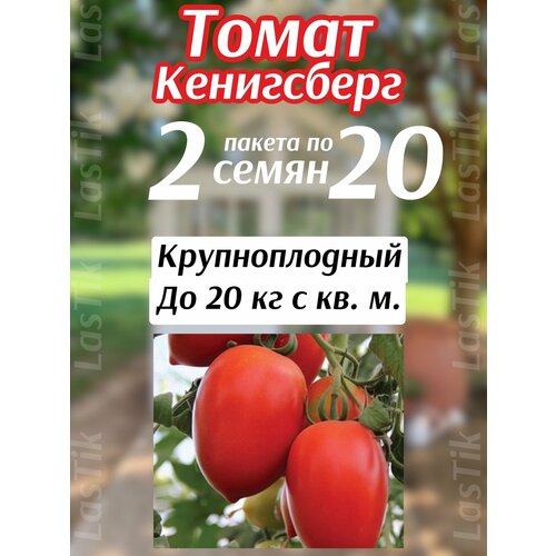 ������ ������ ����� ���������� 2 ������ �� 20�� ����� ����