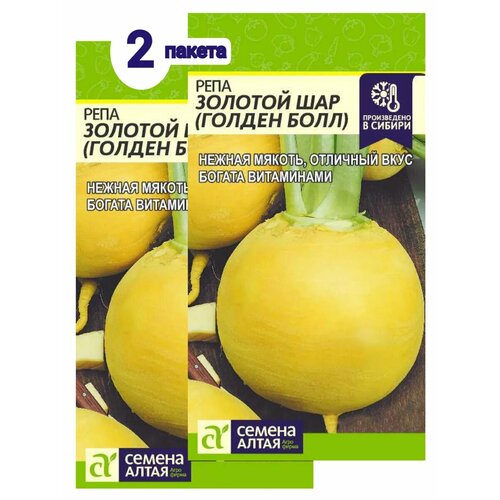 ������ ������ ������ ���� ������� ��� ����