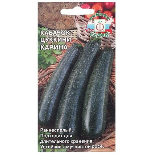 ������ ������ ����� ������ ������� 