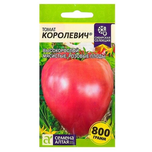 ������ ������ ����� 