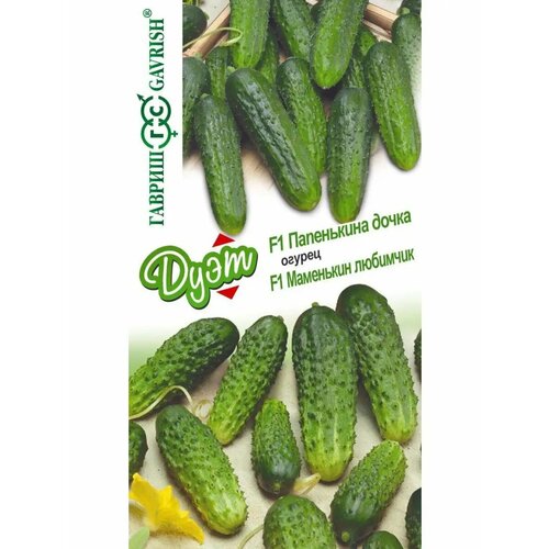 ������ ������ ������ 