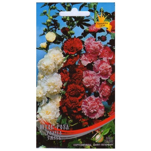 ������ ������ ����-���� ����������� ������, 17 ����� ����