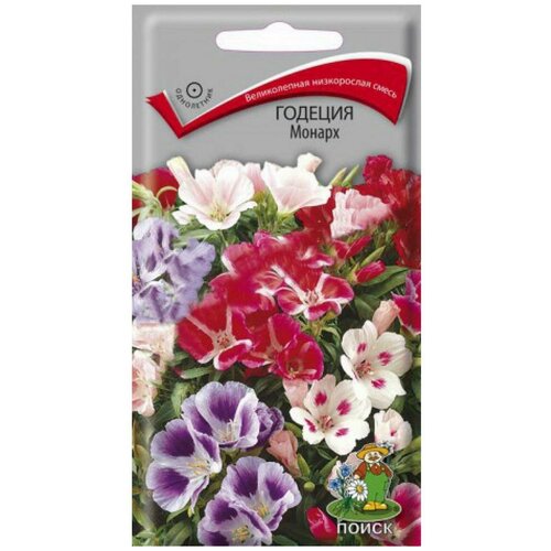 ������ ������ ������ 