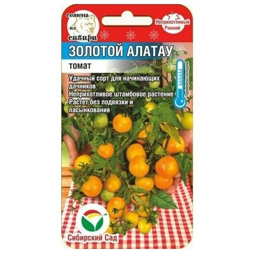 ������ ������ ������� ������ 20�� ����� (��� ���) ����