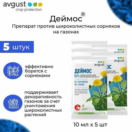 ������ ������ �������� AVGUST 