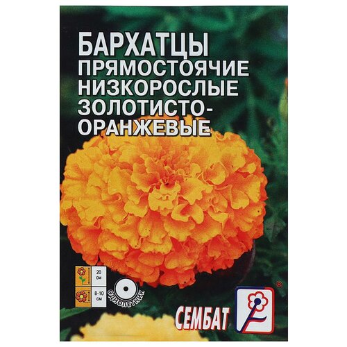 ������ ������ ������ ������ �������� ������������ ����������� ���������-���������, �, 0,1 � ����