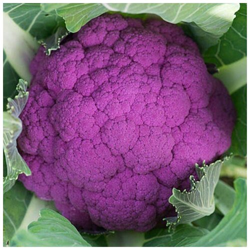 ������ ������ ������ ������ ������� ������� ��������� 30 ��. ����