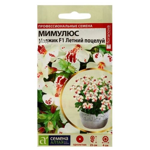 ������ ������ ������ ������ ������� ������ 