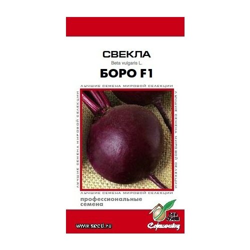 ������ ������ ������ ���� F1, 100 ����� ����