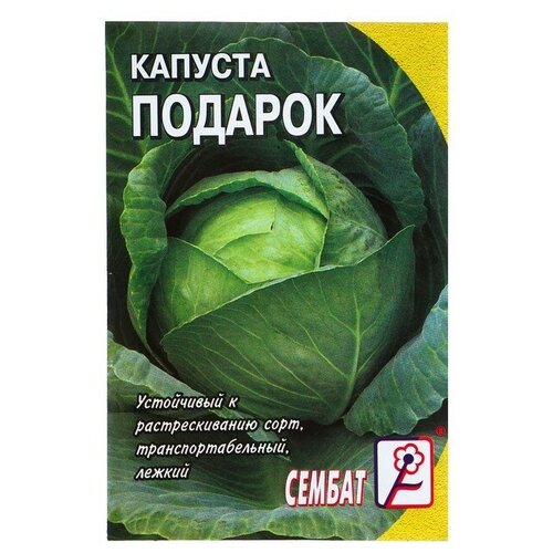 ������ ������ ������ ������� ������������ 