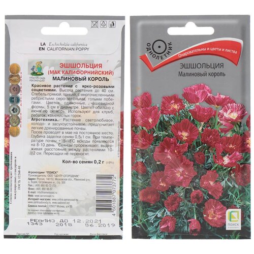 ������ ������ ������ ���������, ��������� ������, 0.2 �, ������� ��������, ����� ����