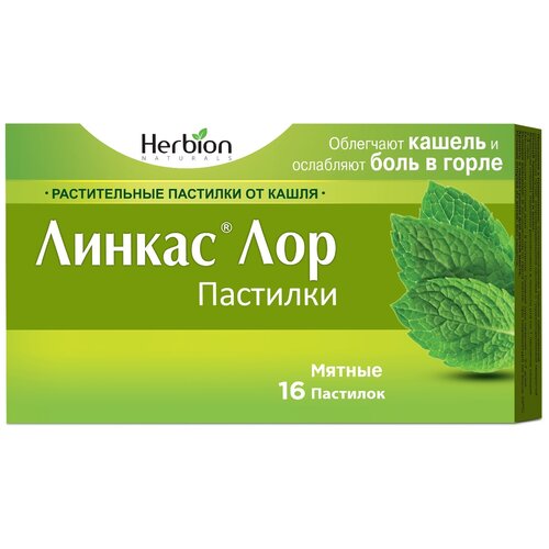 ������ ������ ������ ��� ��������, 16 ��., ������ ����