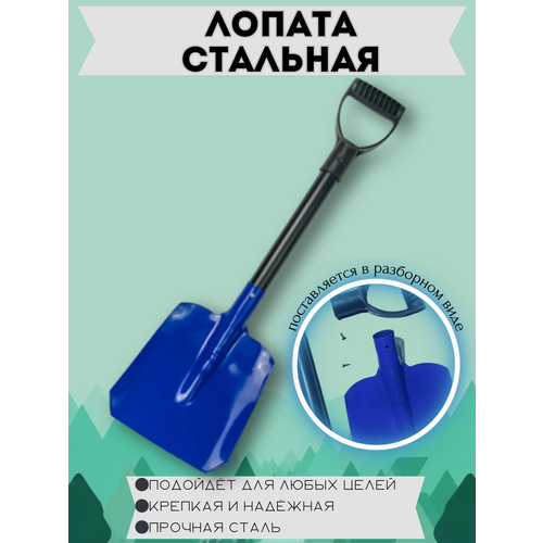 ������ ������ ������ ������������� �������� ����