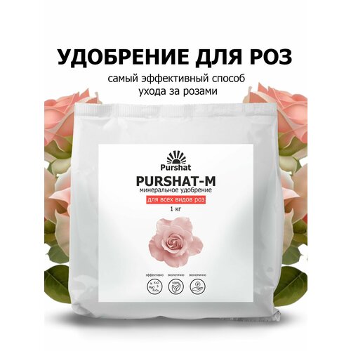 ������ ������ ��������� ������ ��� ��� � ������ 1 �� ����