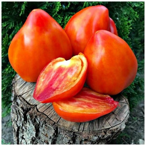 ������ ������ ������ ������ ����� �������� ����� 10 ��. ����